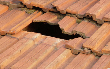 roof repair Litmarsh, Herefordshire